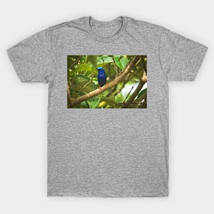 Cla blue bird T-Shirt